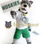 University Husky Mascot Costume