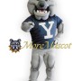 Muscle Gray Bulldog Mascot Costume