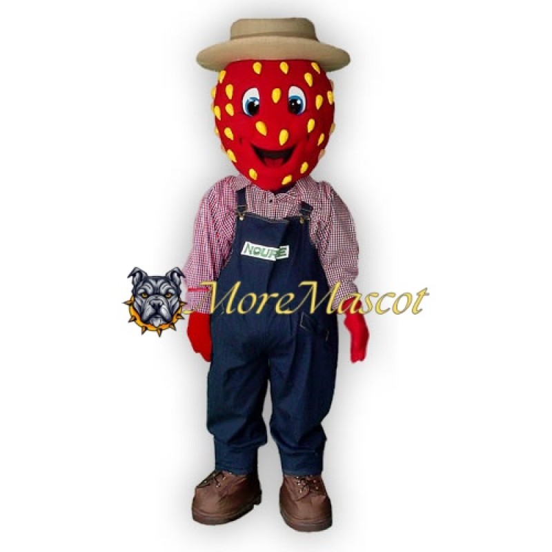 Farmer Strawberry Mascot Costume