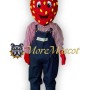 Farmer Strawberry Mascot Costume