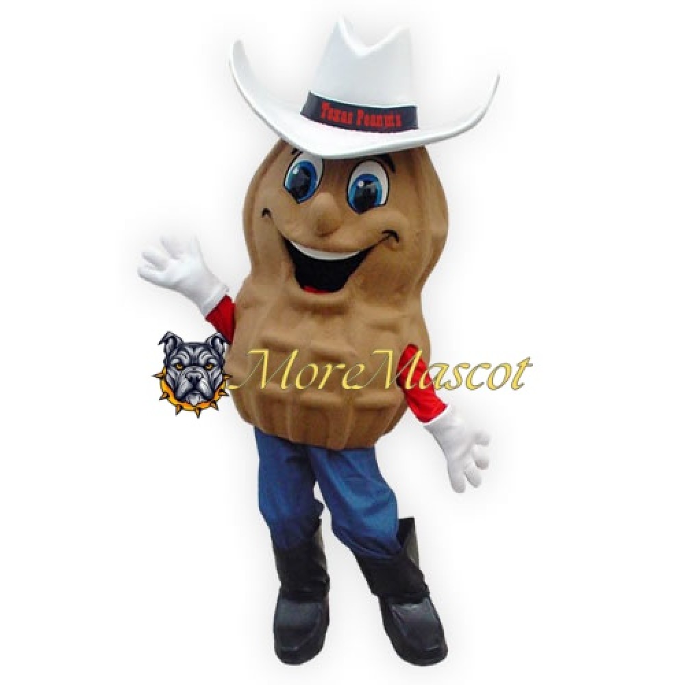 Cartoon Peanut Mascot Costume