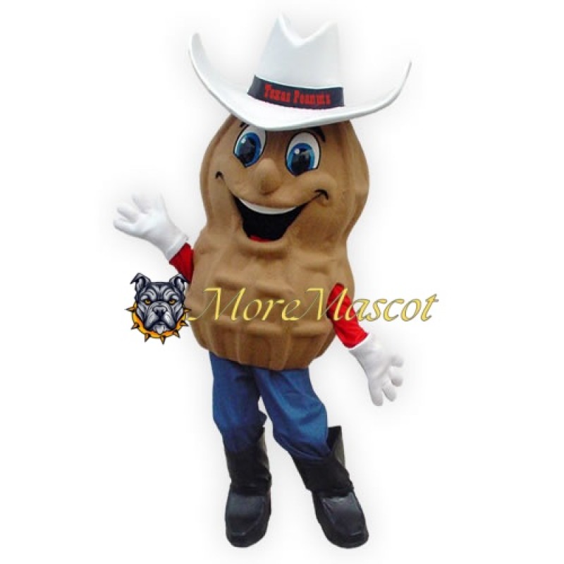 Cartoon Peanut Mascot Costume