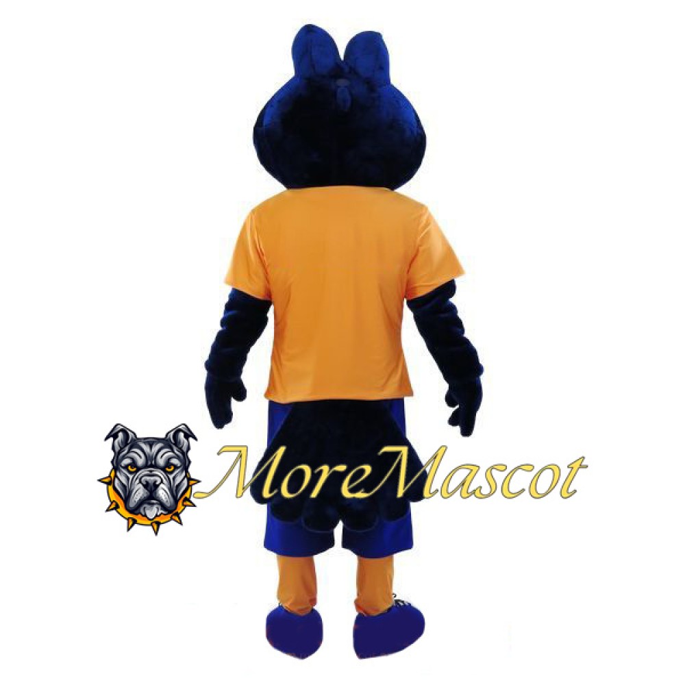 Sport Falcon Mascot Costume