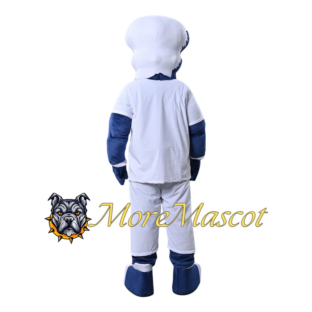 Blue White Storm Mascot Costume