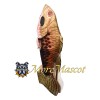 Fish Mascot Costume