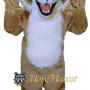 Bobcat Mascot Costume