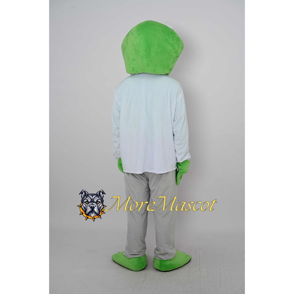Adult Frog Mascot Costume
