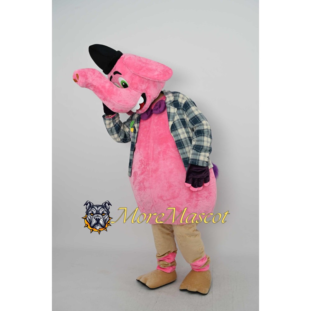 Bing Bong Mascot Costume