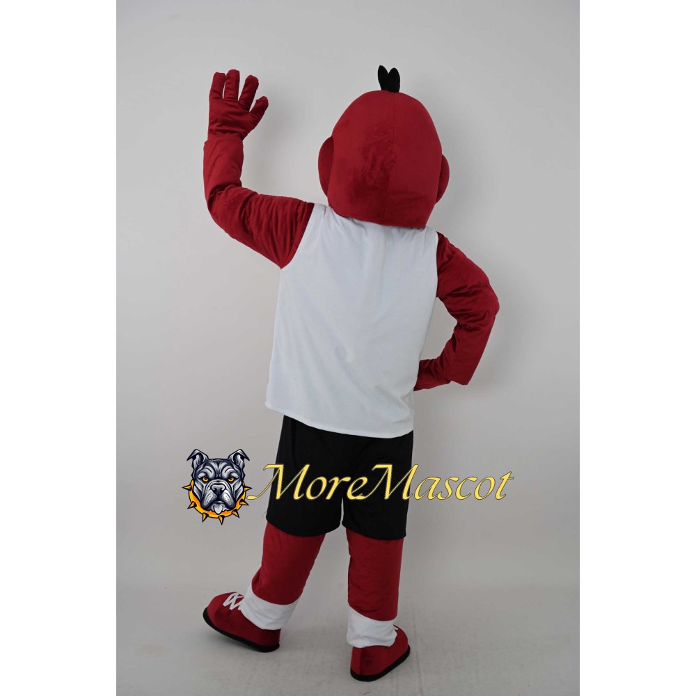 Sports Red Dragon Mascot Costume