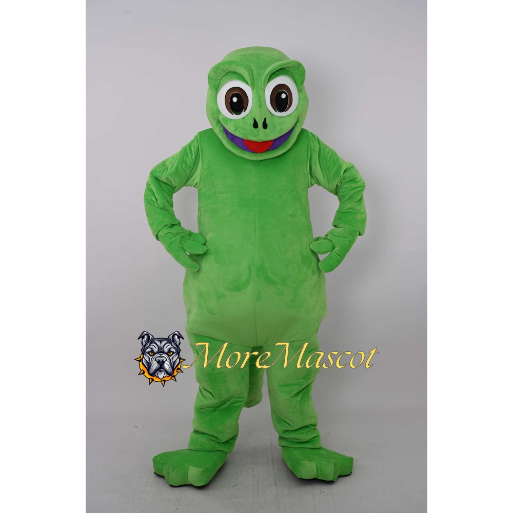 Happy Frog Mascot Costume