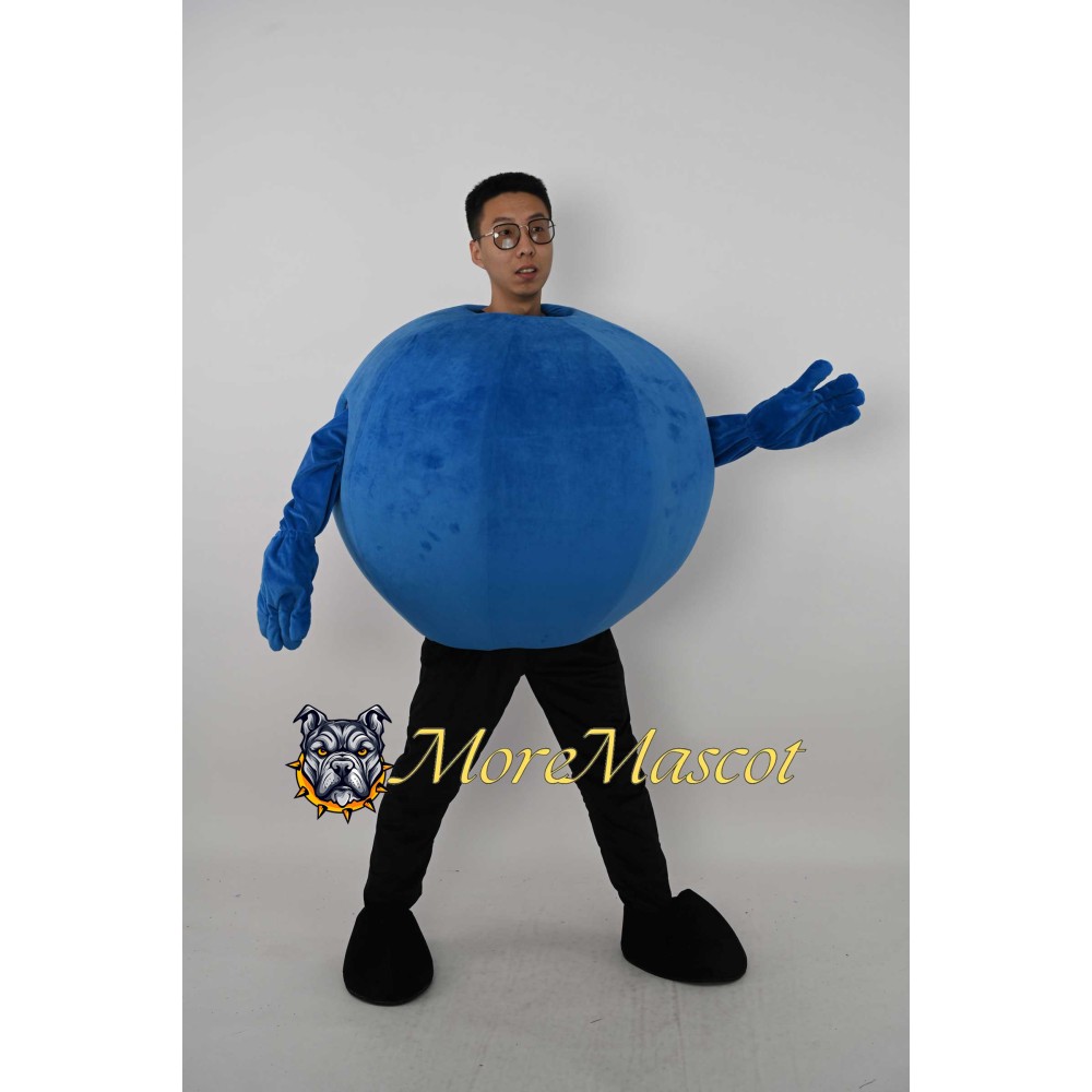 Blueberry Mascot Costume