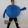 Blueberry Mascot Costume
