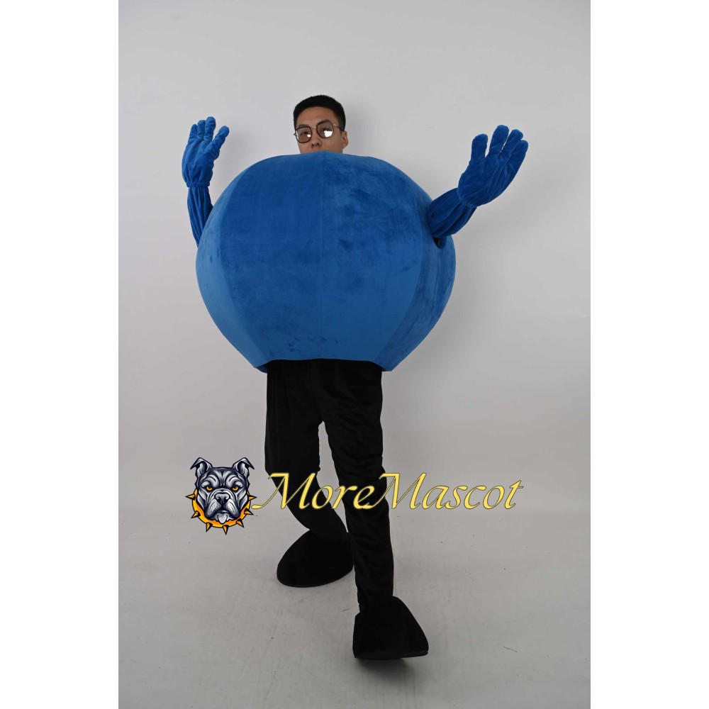 Blueberry Mascot Costume