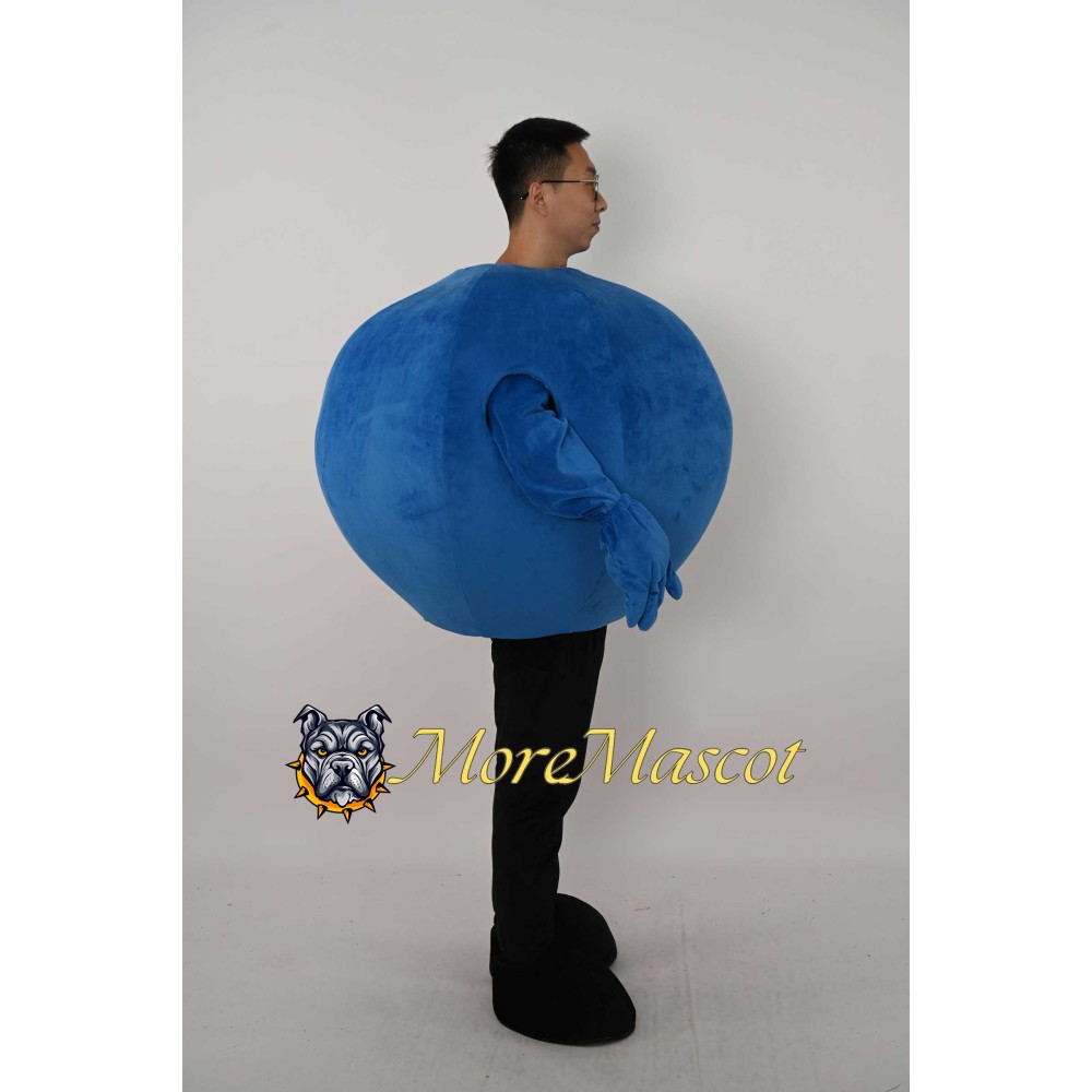 Blueberry Mascot Costume