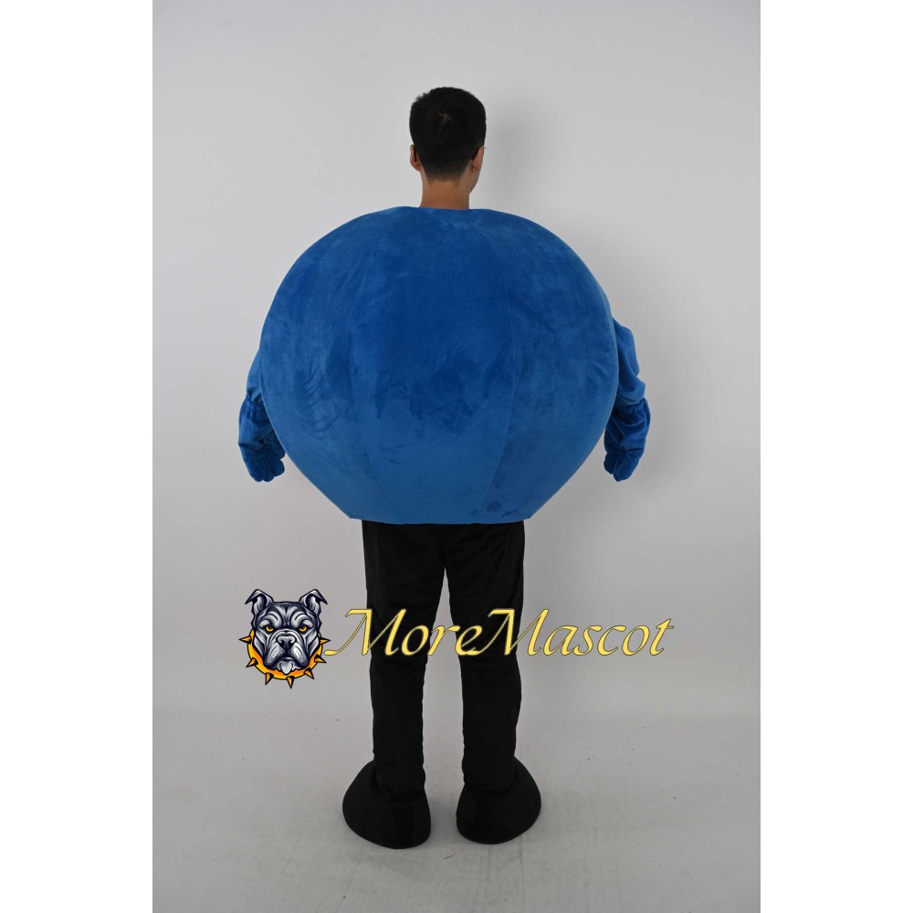 Blueberry Mascot Costume
