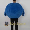 Blueberry Mascot Costume