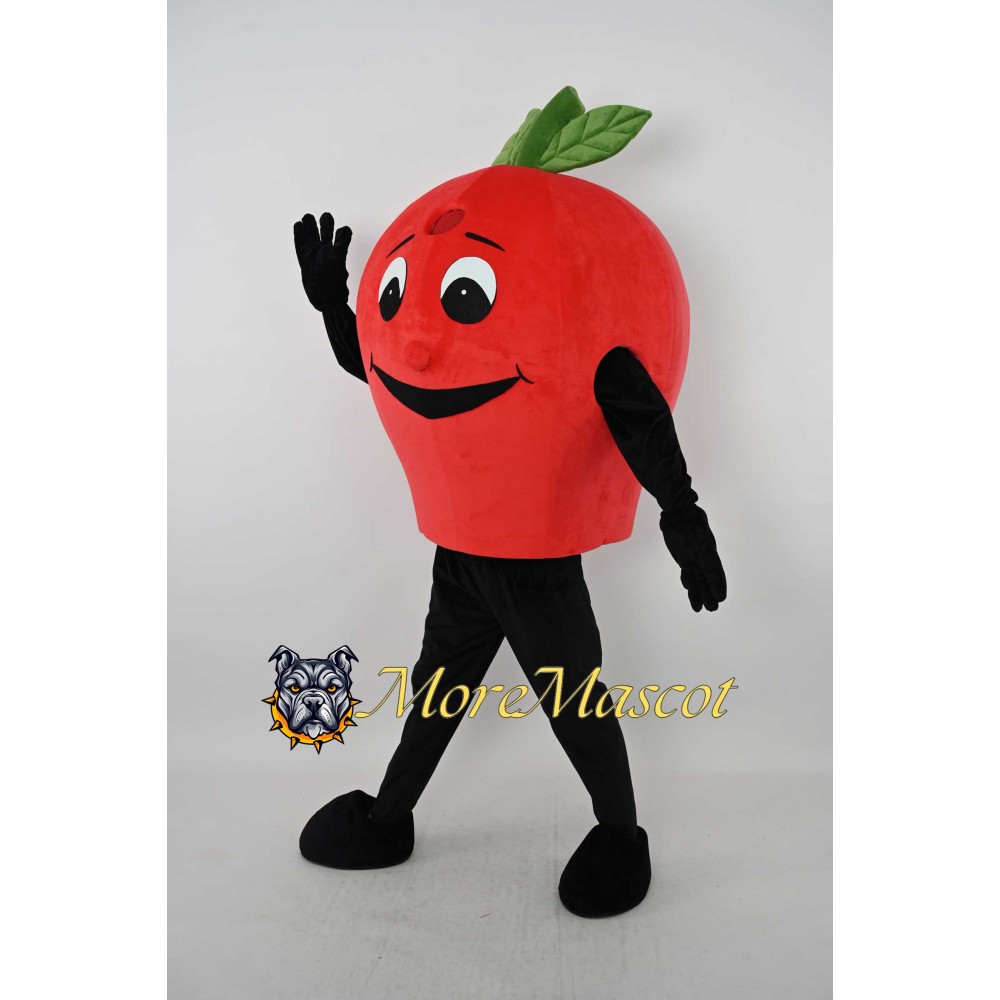 Red Apple Mascot Costume