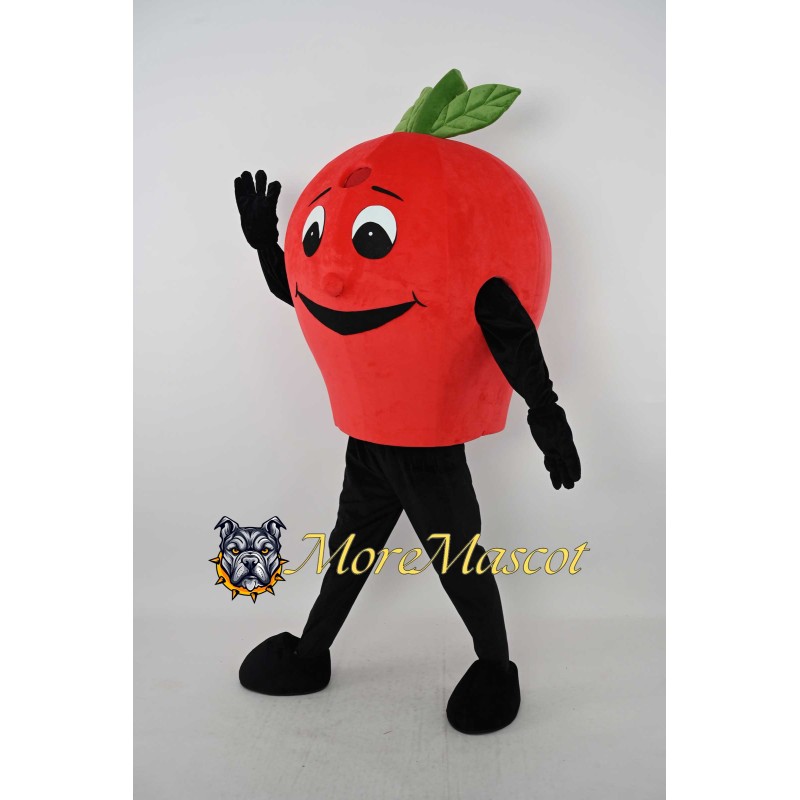 Red Apple Mascot Costume