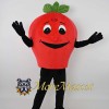 Red Apple Mascot Costume