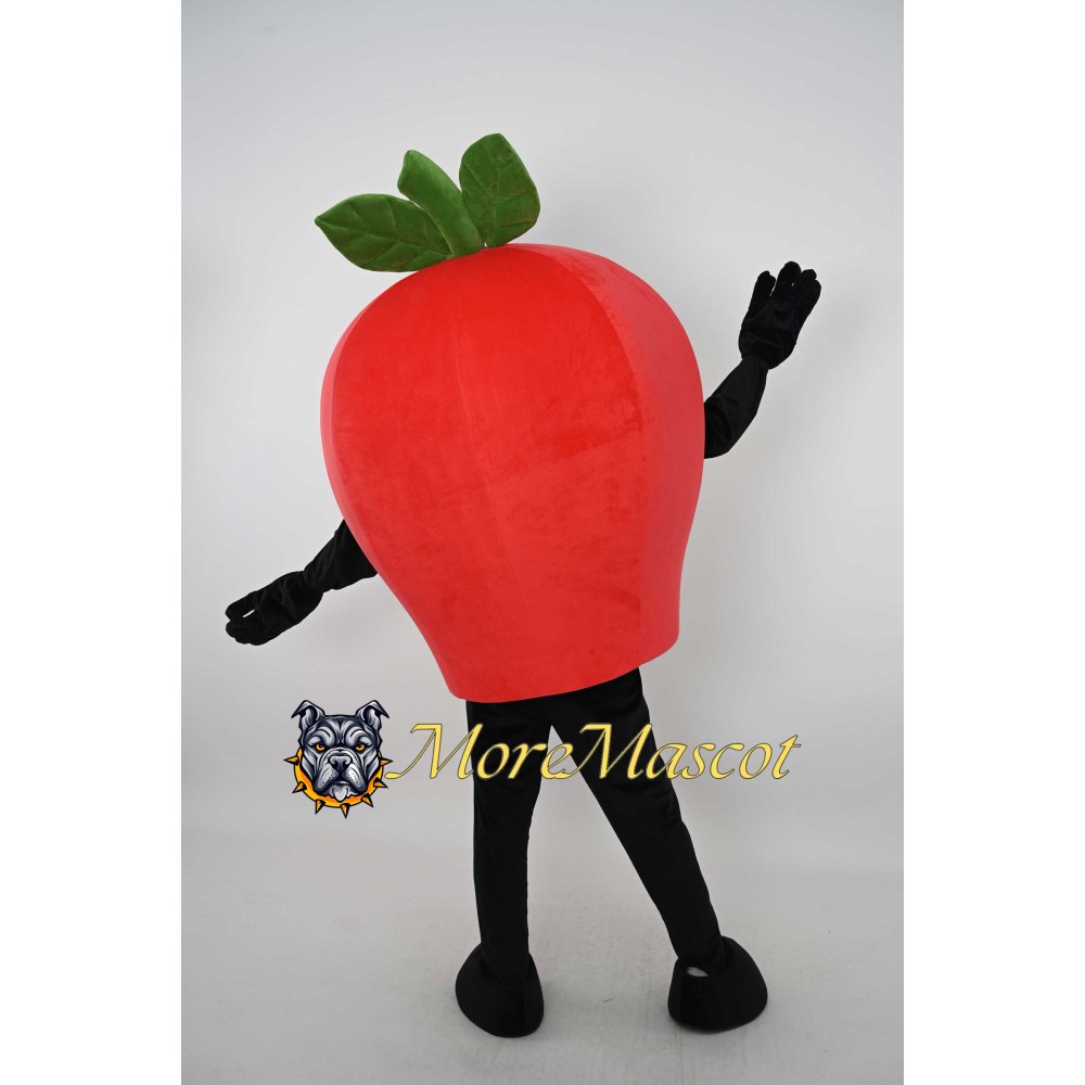 Red Apple Mascot Costume