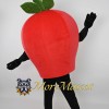 Red Apple Mascot Costume