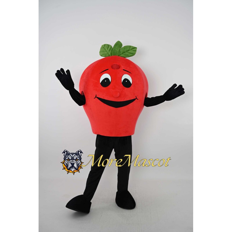 Red Apple Mascot Costume