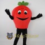 Red Apple Mascot Costume