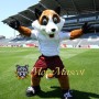Sport Fox Mascot Costume