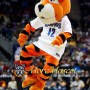 Basketball Tiger Mascot Costume