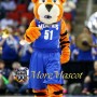 Sports Tiger Mascot Costume