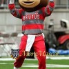 University Brutus Buckeye Mascot Costume