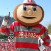 University Brutus Buckeye Mascot Costume