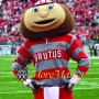 University Brutus Buckeye Mascot Costume